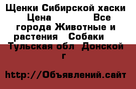 Щенки Сибирской хаски › Цена ­ 18 000 - Все города Животные и растения » Собаки   . Тульская обл.,Донской г.